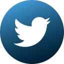 twitter icon